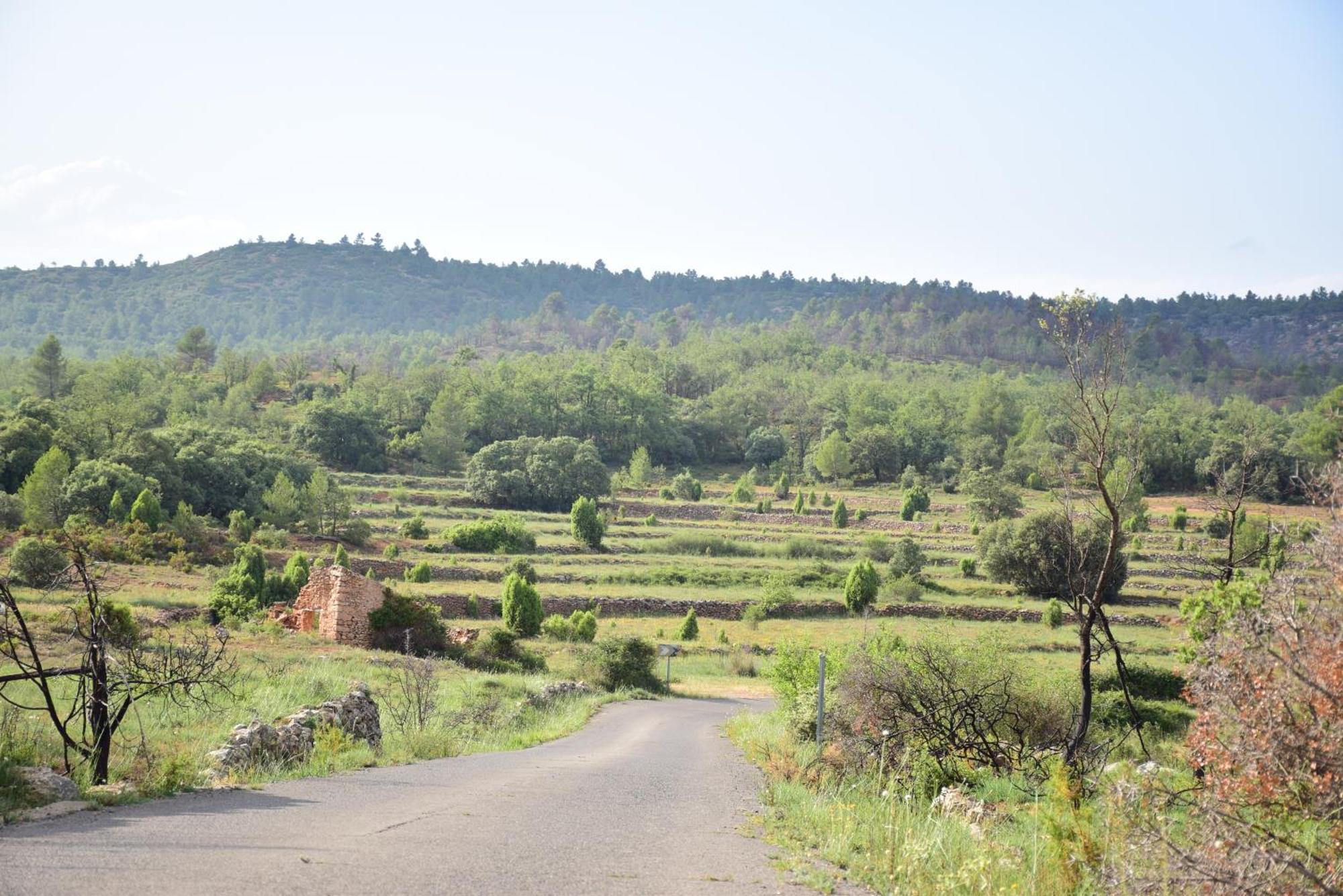 فيلا Oasis Rural Los Pastores المظهر الخارجي الصورة